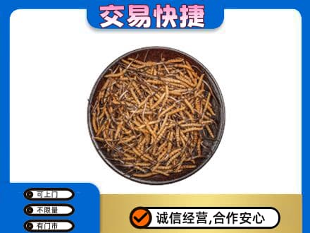 灵石县高价回收散虫草